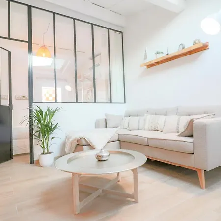 Vauban Rare Renovated Luxury Loft In Old 300 M From Apartment